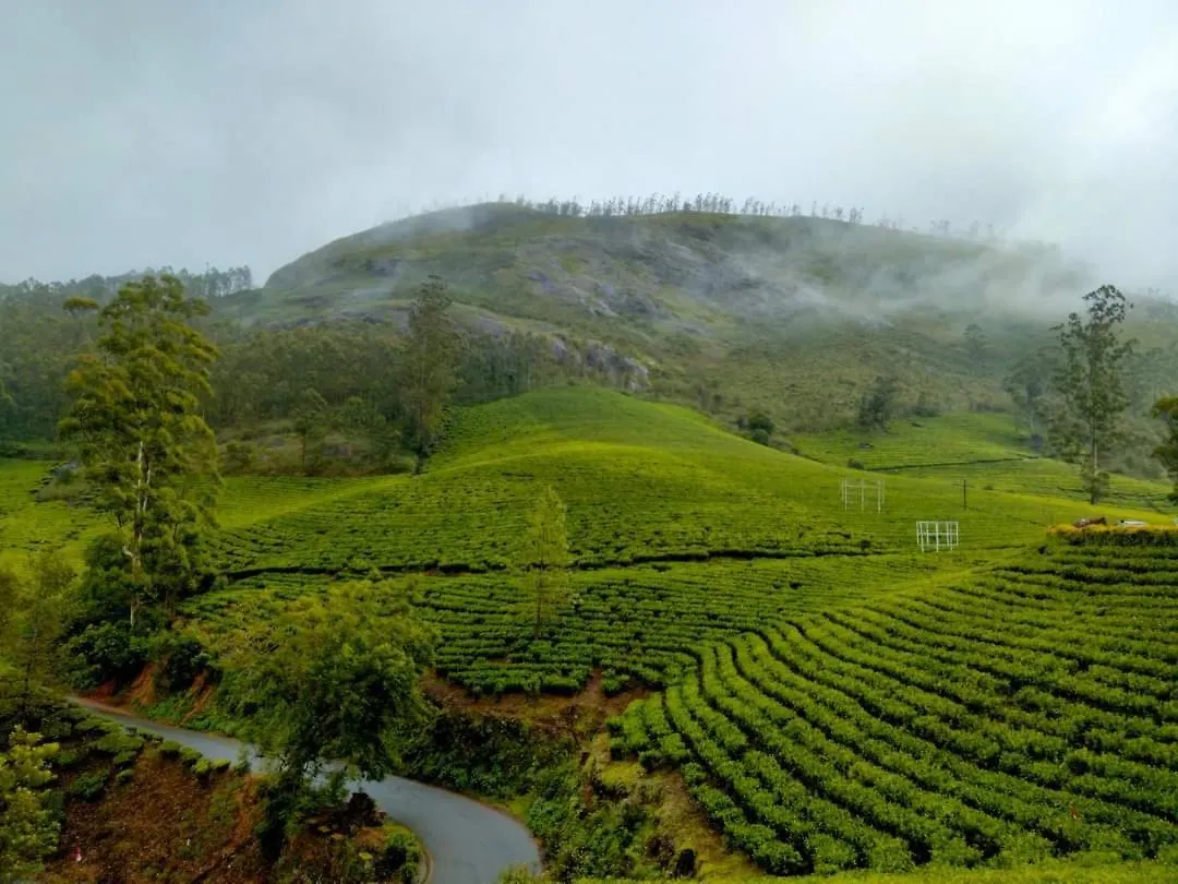 Homestay The Wings Munnar Apartment Anachal