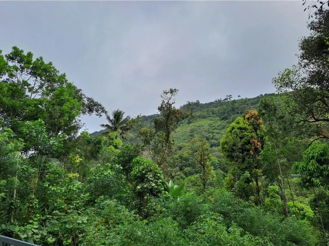 Homestay The Wings Munnar Apartment Anachal India